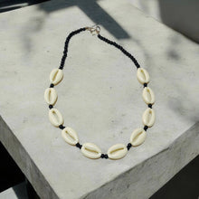 سلسلة صدف البحر