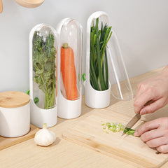 كبسولة حافظة للأعشاب للثلاجة حافظة اعشاب طازجة للكزبرة والنعناع والبقدونس و الشبت